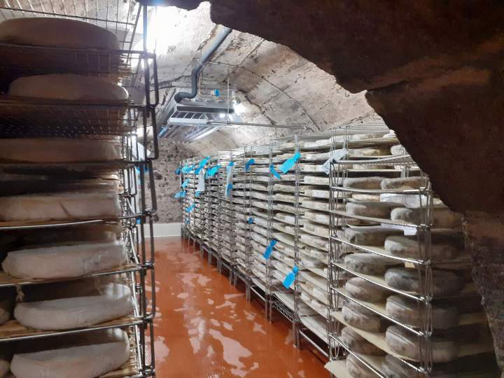 Froid industriel Haute-Loire